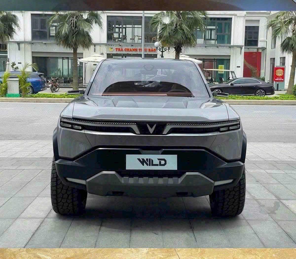 VF Wild